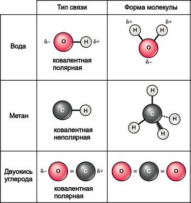 Схема связи кислорода. Полярные молекулы растворителя. Химическая связь кислорода. Кислород Тип связи. Длина связи кислорода.