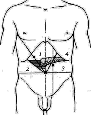 Проекция поджелудочной железы на переднюю брюшную стенку схема